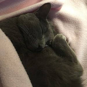 Meet your Posher, Carissa